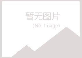 青岛盼夏采矿有限公司